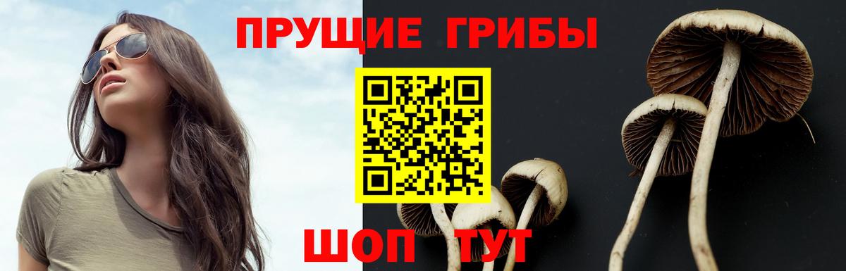 Псилоцибиновые грибы мицелий  Вход с VPN  Лангепас 